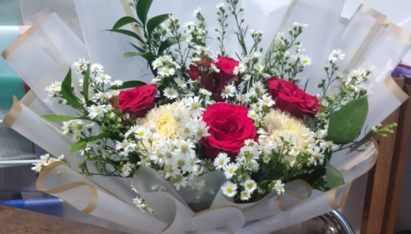 IMG-20231120-WA0004(1)