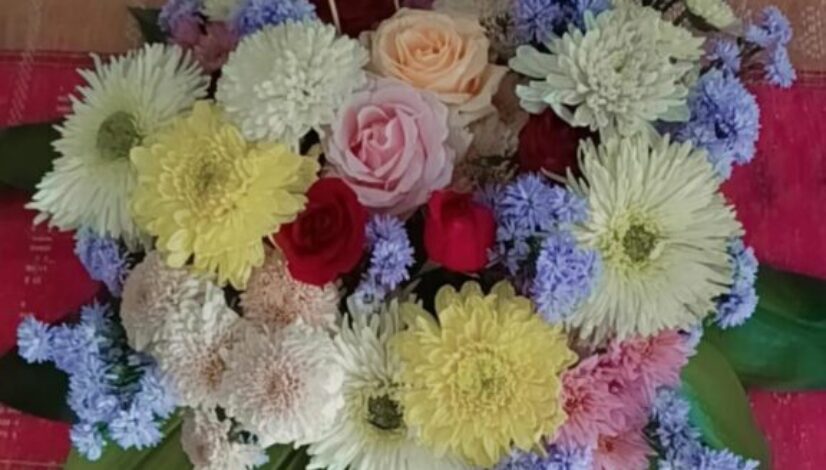 Bunga Aster Makna dan Simbolisme Warna