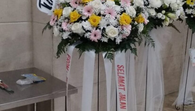 Bunga Peony – Ciri, Arti, Makna Filosofis & Jenisnya