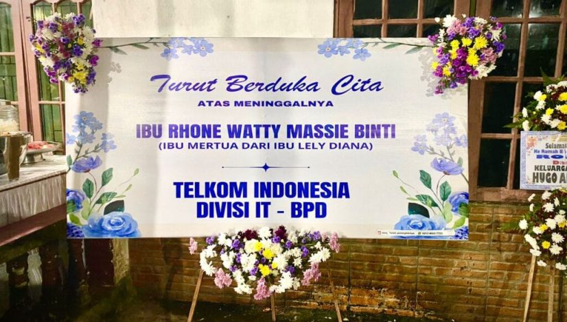 Bunga Aster Orange: Pesona Eksotis & Energi Positif untuk Menghidupkan Suasana Hunian Anda