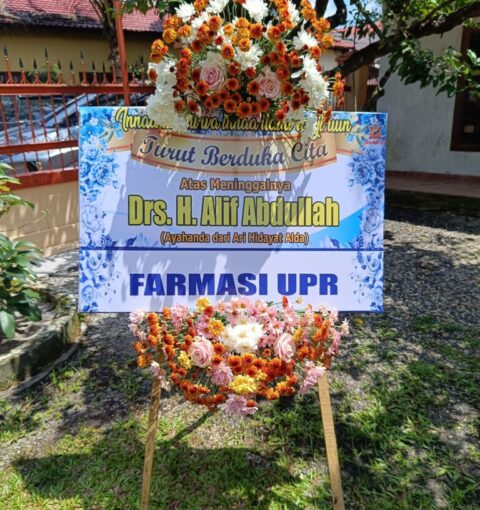 WhatsApp Image 2024-09-02 at 10.15.25_91a12760