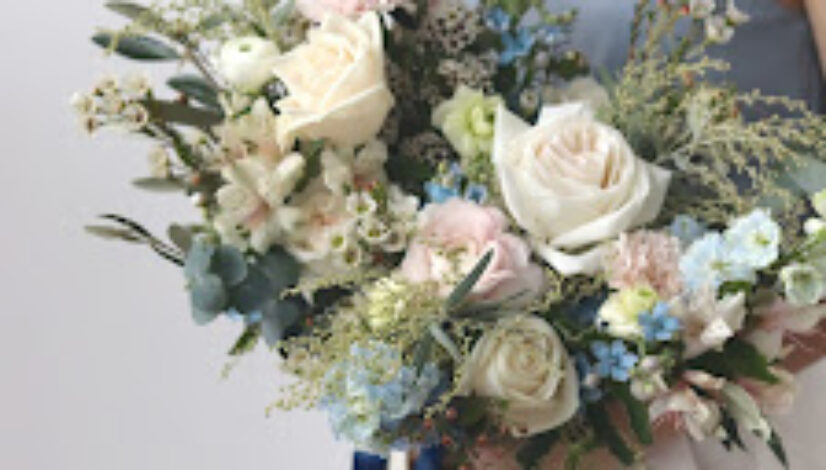 Tips menanam dan merawat Bunga Casablanca Putih