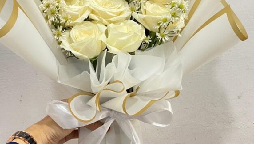 shopee (115)