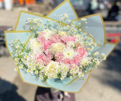 Sentuhan Abadi di Dalam Ruangan: Mengenal Pesona, Makna, dan Cara Merawat Edelweis Kering