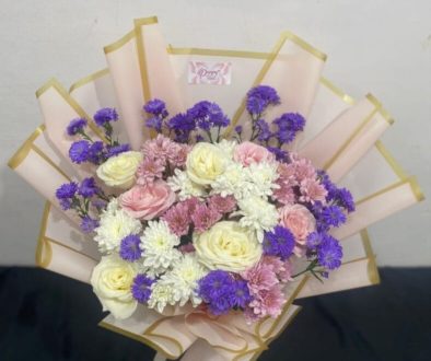 Menilik Keunikan Bunga Matahari Pink: Pesona Langka, Makna, dan Panduan Praktis Menanamnya
