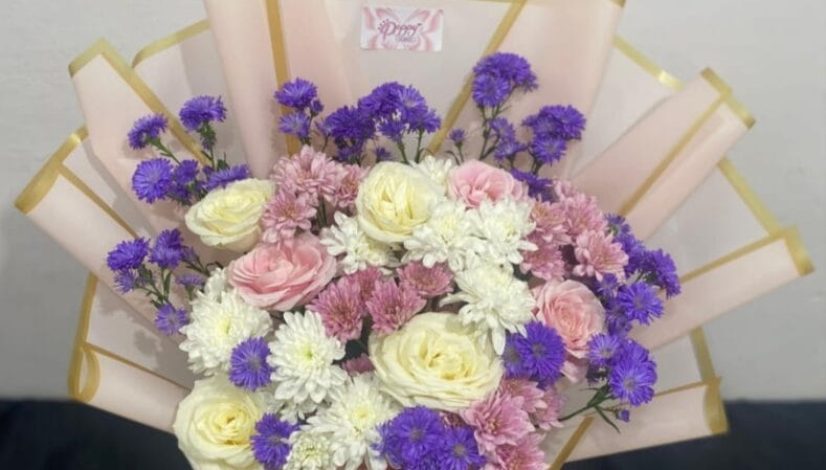 Menilik Keunikan Bunga Matahari Pink: Pesona Langka, Makna, dan Panduan Praktis Menanamnya